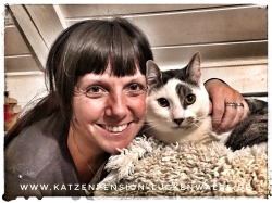 Betreuung Ihrer Katze Im Urlaub in ihrer Region Beelitz - IMG 7178 min - TIERHOTEL - TIERBETREUUNG - KATZENPENSION in der NÄHE - FREIGEHEGE für KATZEN - KATZENPENSION KOSTEN