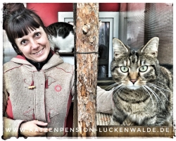 Betreuung Katze Im Urlaub  in ihrer Region Luckenwalde - IMG 8700 min - TIERHOTEL - TIERBETREUUNG - KATZENPENSION in der NÄHE - FREIGEHEGE für KATZEN - KATZENPENSION KOSTEN